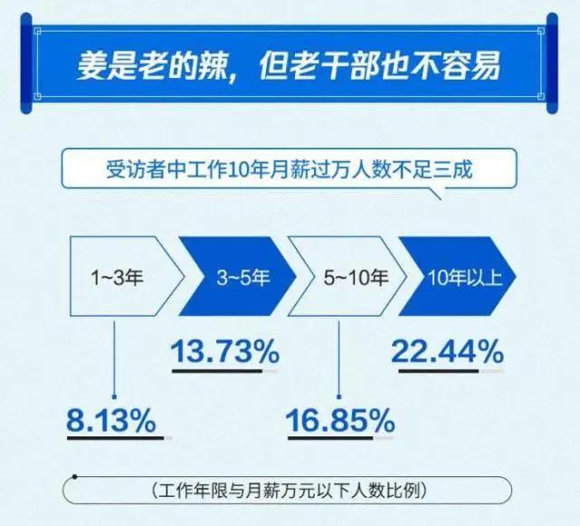 公司新闻 第19页