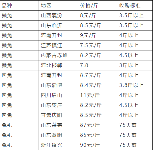 今日兔毛价格行情解析